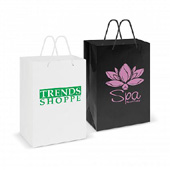 Laminated Carry Bag-copy direct